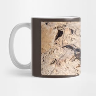 Scorpion. Mug